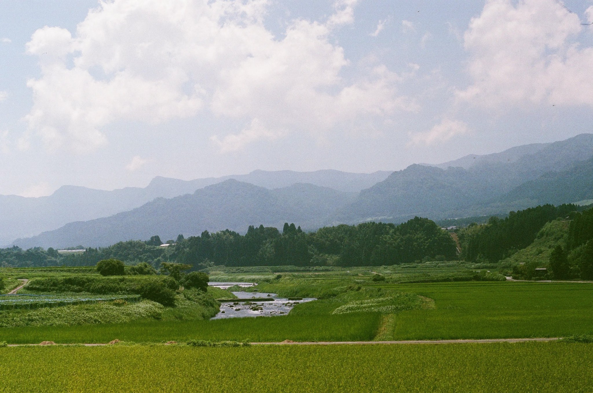 阿蘇の田園風景と川、遠くに連なる山々