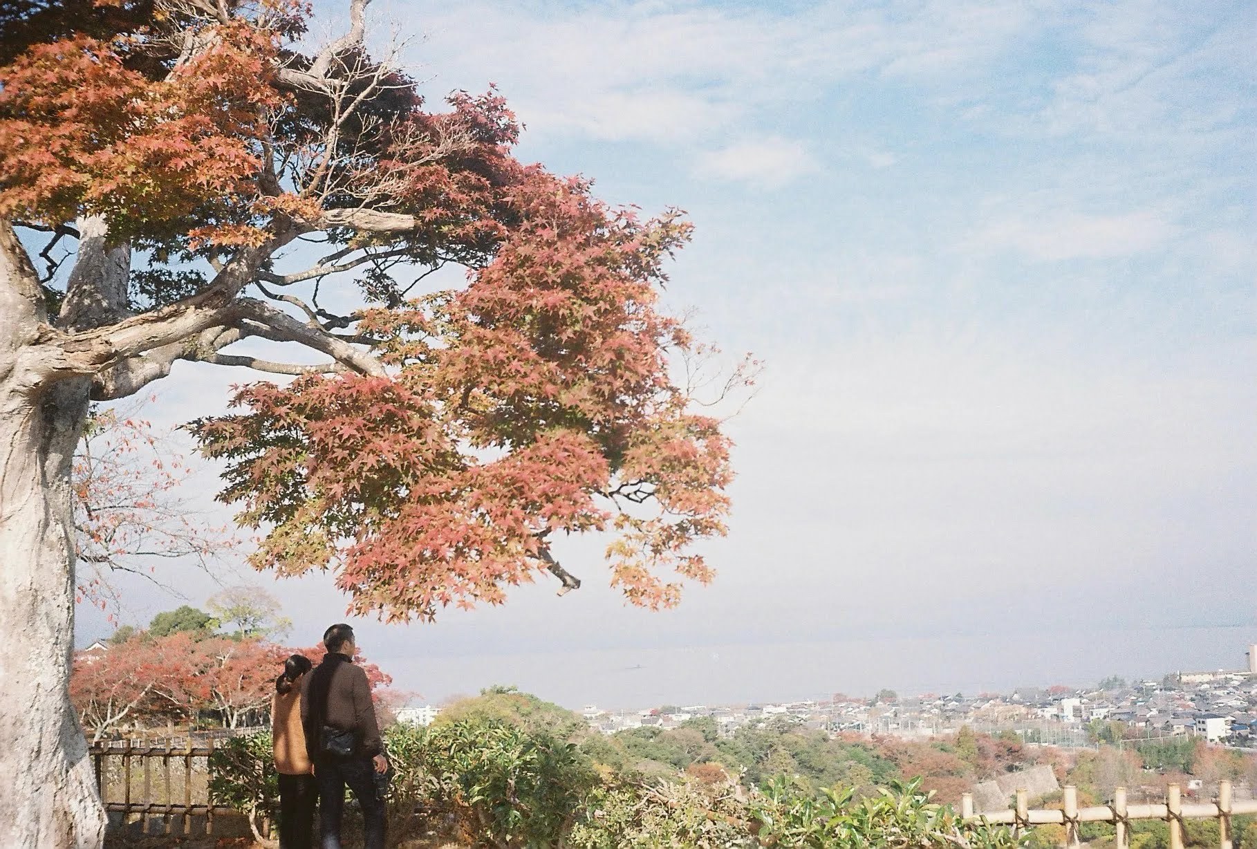 高台の紅葉ごしに琵琶湖と町並みを眺める二人