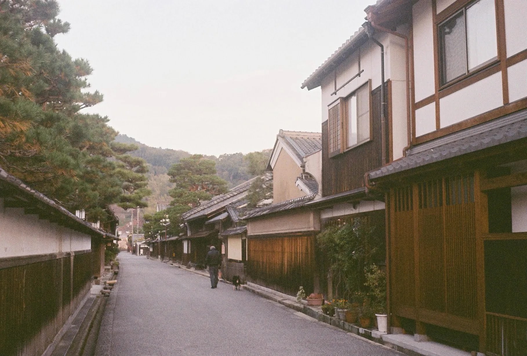 近江八幡の古い町並みを犬と歩く人