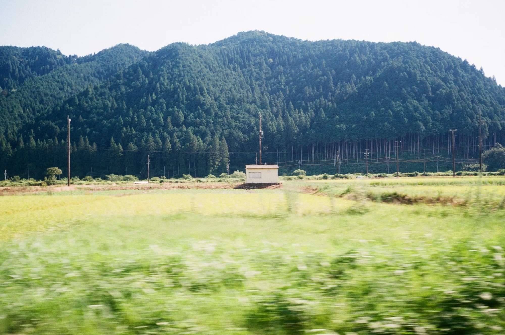車窓から見た、山を背景にした田んぼと小屋の風景