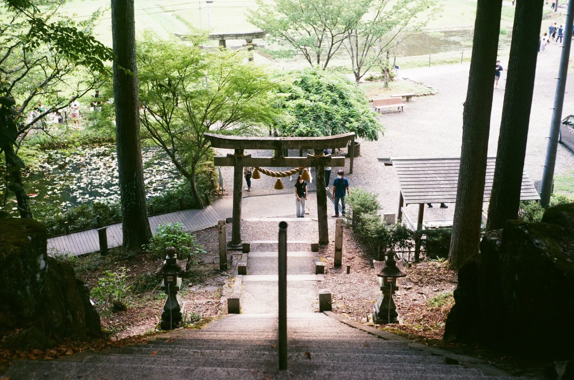 石段の上から見下ろす、鳥居と池のある神社の参道