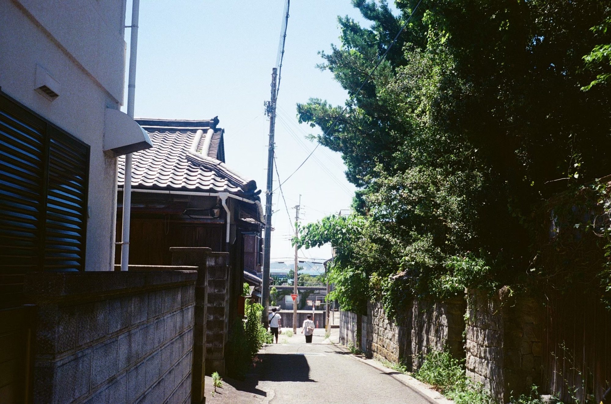 木々に囲まれた静かな住宅街の路地を歩く人々