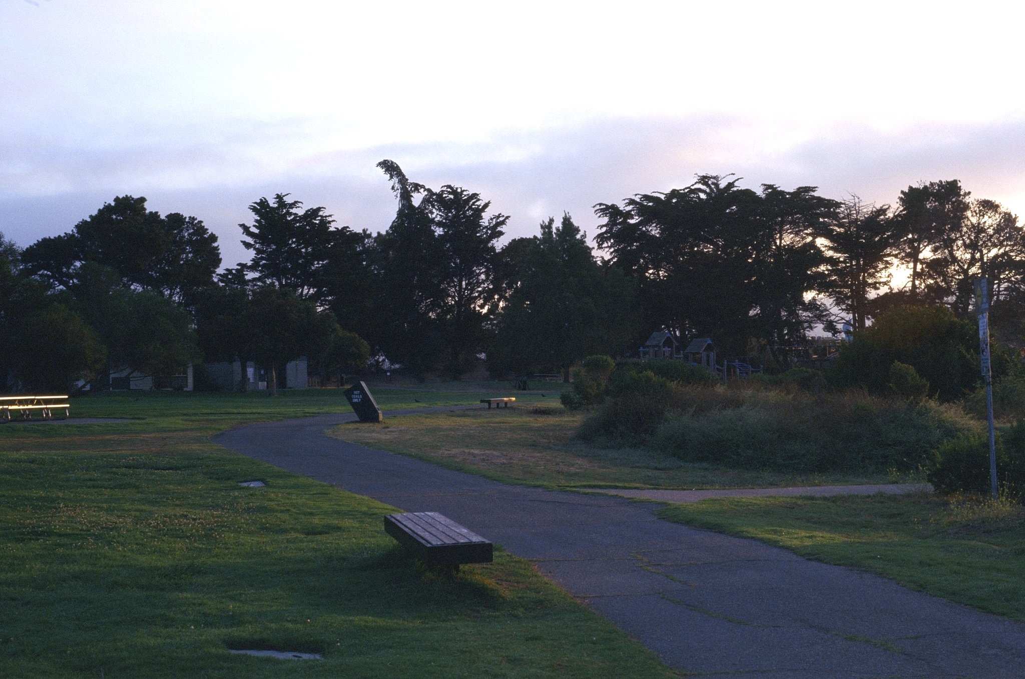 夜明けの公園内の遊歩道とベンチ