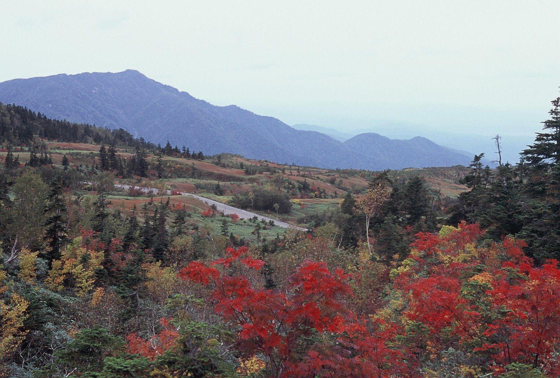山の斜面を彩る真っ赤な紅葉と、奥に連なる山並み