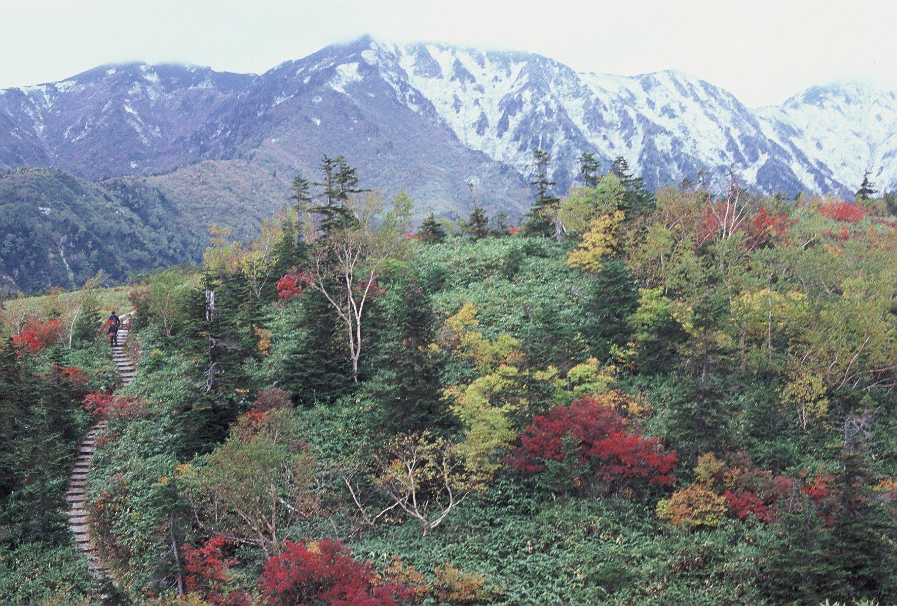雪山を背景に、紅葉した稜線の木製階段を歩く登山者